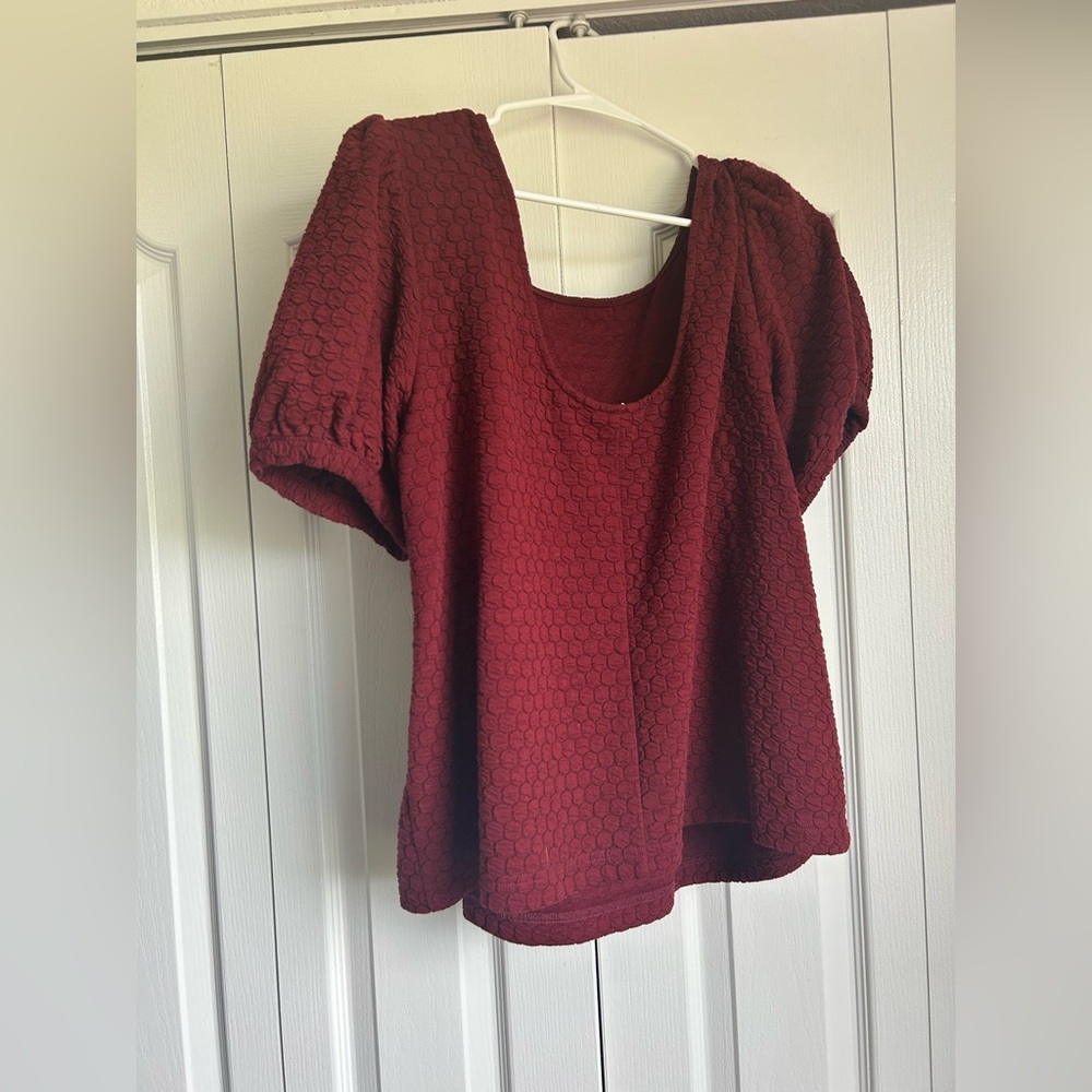 EUC Porridge (Anthropologie) Parker Puff Sleeve Blouse - Picture 4 of 4